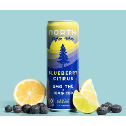 North  Blueberry Citrus THC + CBD Seltzer