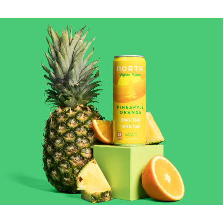 North  Pinapple Orrange THC + CBD Seltzer